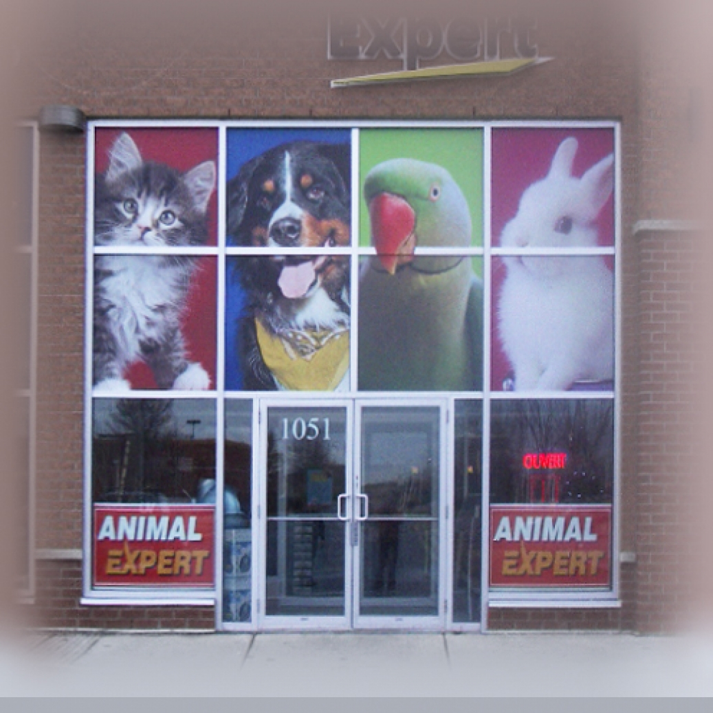 Lettrage de vitrine commerciale